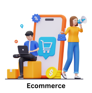 Ecommerce website and software solutions